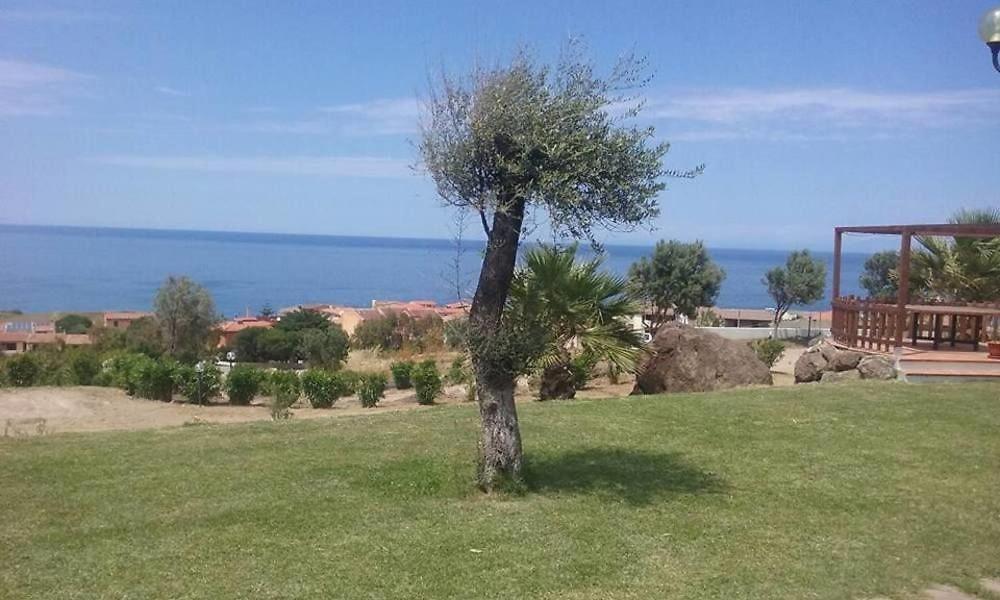 فاليدوريا Palalama المظهر الخارجي الصورة