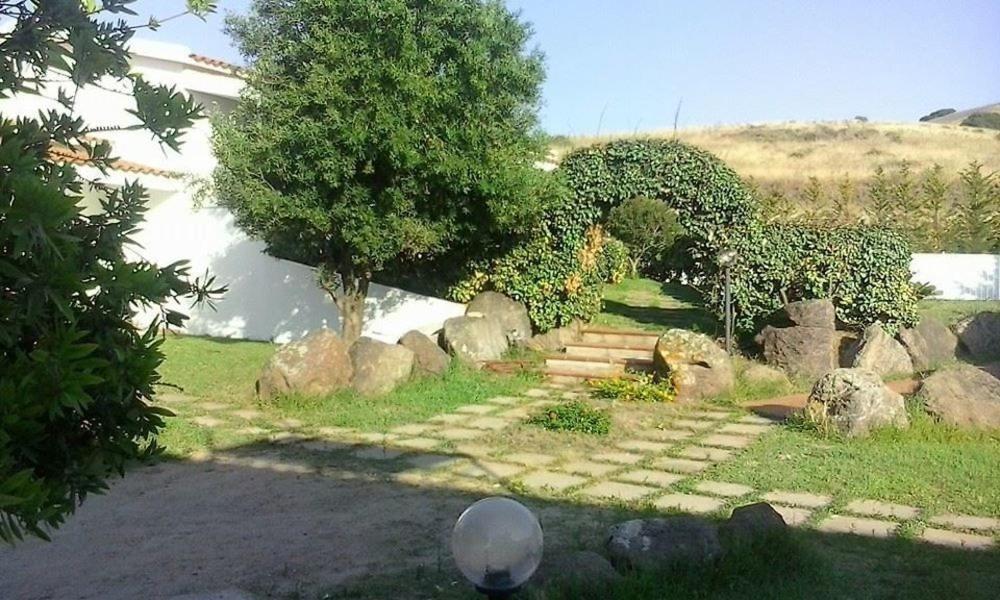 فاليدوريا Palalama المظهر الخارجي الصورة