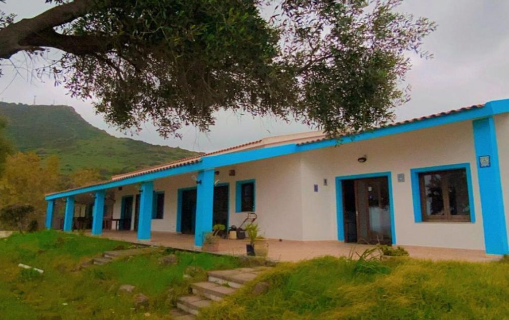 فاليدوريا Palalama المظهر الخارجي الصورة